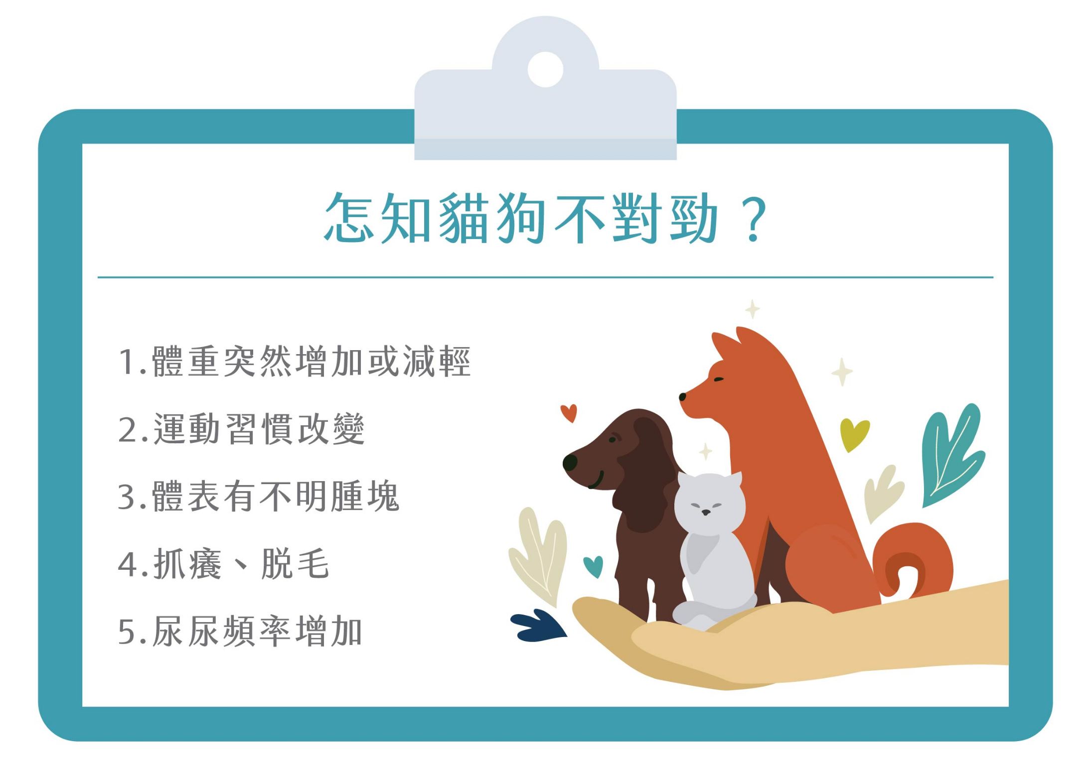毛小孩沒健保！寵物醫療險幫飼主省荷包
