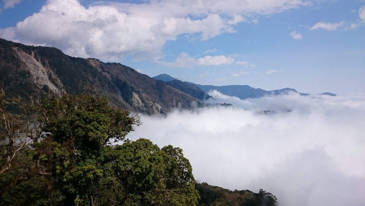 較高海拔的山區，有機會在清晨或黃昏看到大片的雲海。